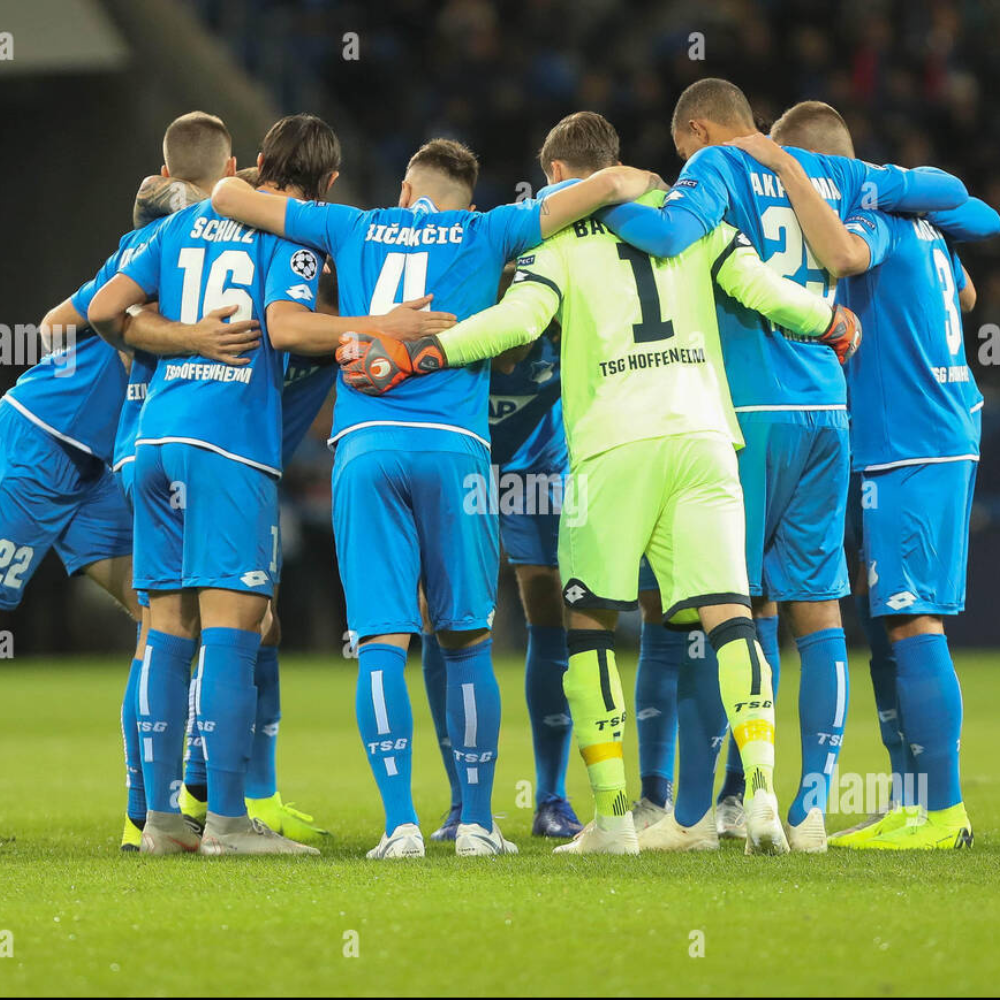 Ermin Bičakčić – TSG 1899 Hoffenheim (23/10/2018)