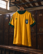 Brésil junior (1979-1980)